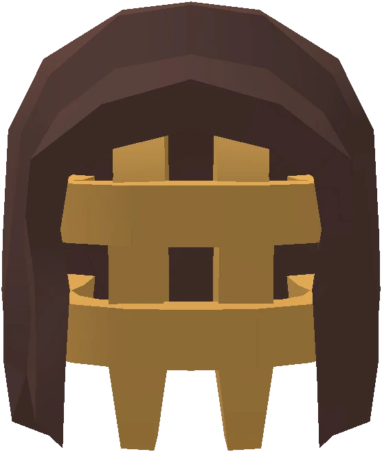 Disciple's Visage