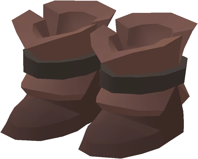 Disciple's Shoes