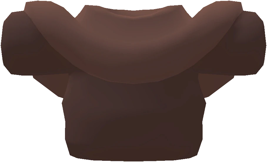 Disciple's Manteau