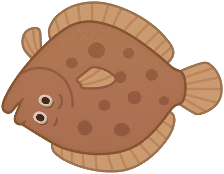 Flatfish