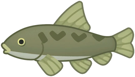 Garra Rufa