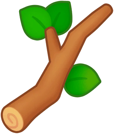 Branch