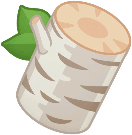 White Birch