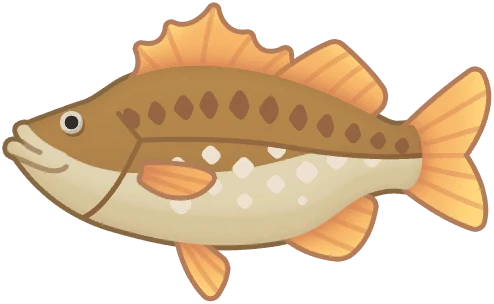 Sea Bass
