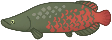 Pirarucu