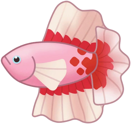 Betta