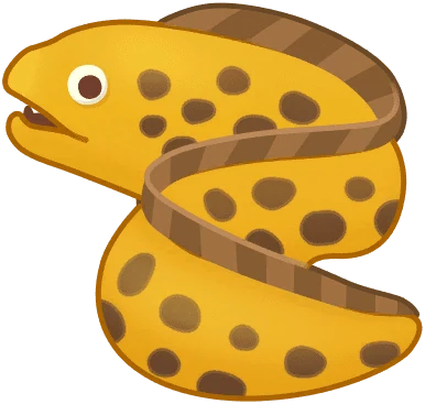 Moray Eel
