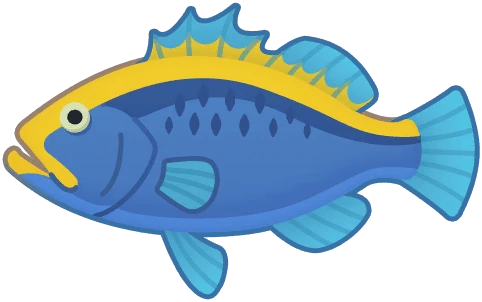 Goldribbon Soapfish 