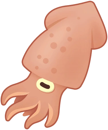 Squid