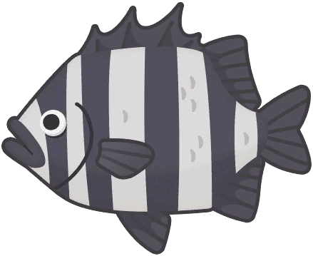 Rock Bream