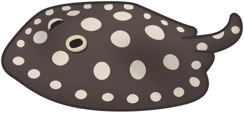 Leopoldi