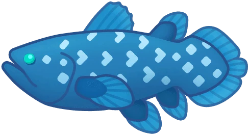 Coelacanth