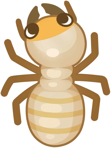 Soldier Termite