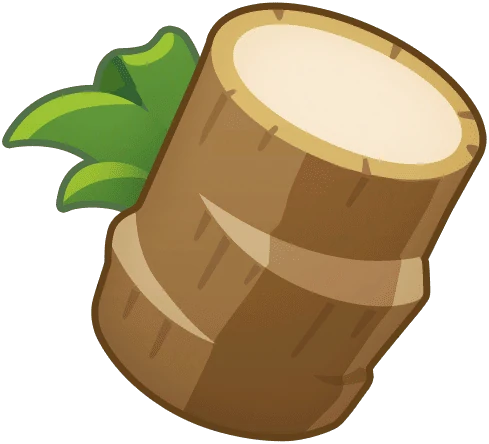 Palm Tree