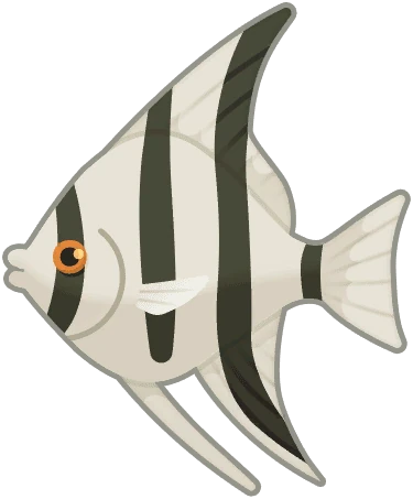 Angelfish