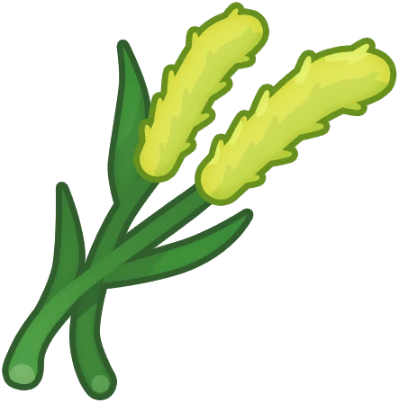 Cat's-Tail