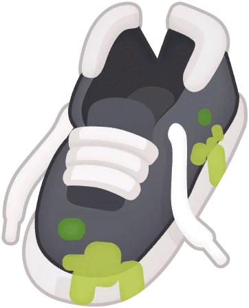 Lost Shoe