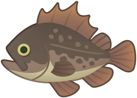 Rockfish