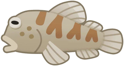 Goby