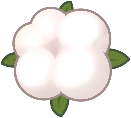Cotton