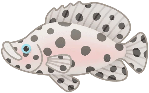 Panther Grouper
