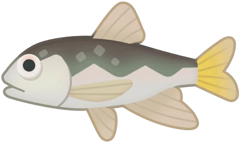 Pale Chub