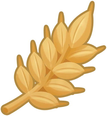 Barley