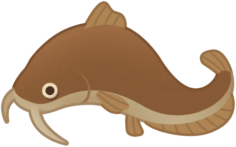 Catfish