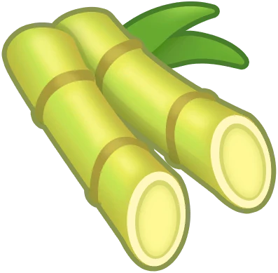 Sugar Cane