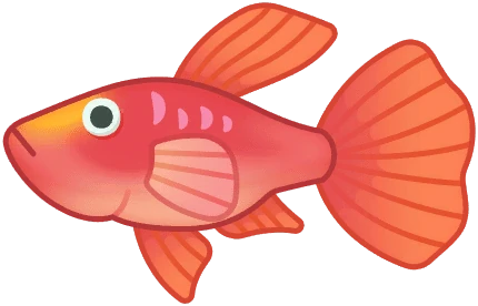 Guppy