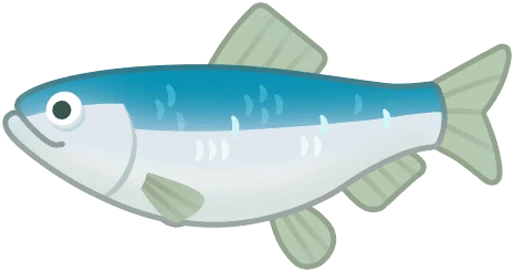 Herring