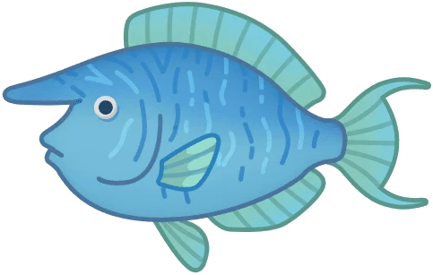 Unicornfish