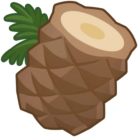 Windmill Palm