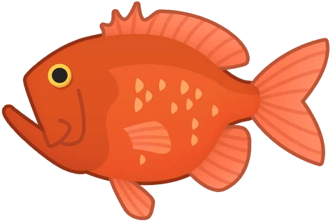 Orange Roughy