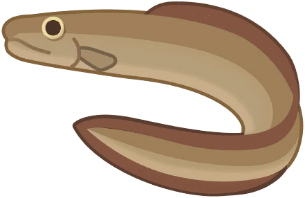 Daggertooth