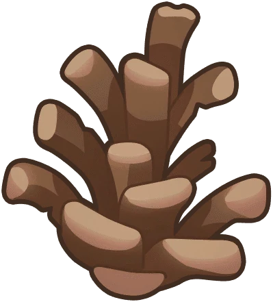 Broken Pine Cone