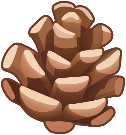 Pine Cone