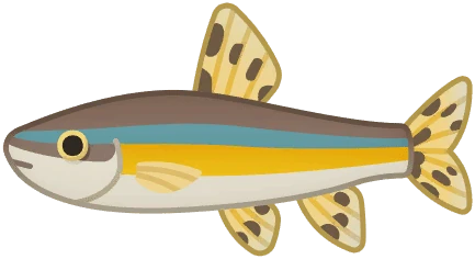 Splendidus