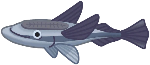 Remora
